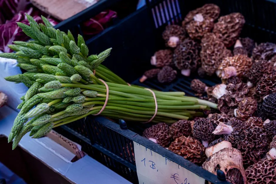 Proposer un repère mois par mois pour acheter mieux, cuisiner simple et varier les goûts.